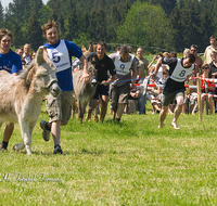 fileadmin/roha/images_galerie/brauchtum/Leonhardiritt/Holzhausen_01/Eselrennen/BR-PFRI-HOLZ-ESELR-0002-D-roha-Brauchtum-Holzhausen-Eselrennen.png