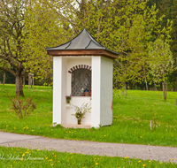 fileadmin/roha/images_galerie/kirche_religion/Teisendorf/KKKM-TEIS-MITTERECK-0002-D-roha-Kapelle-Teisendorf-Mittereck-Mooseck-Fruehling.png