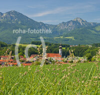 fileadmin/roha/images_galerie/orte_landschaft/Vachendorf/VACH-0005-D-roha-Vachendorf-Chiemgauer-Berge-Hochfelln-Hochgern.jpg