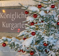 fileadmin/roha/images_galerie/orte_landschaft/Bad-Reich-Kurgarten-Beleuchtung/BAD-REI-KURGAR-WI-0014-D-roha-Bad-Reichenhall-Kurgarten-Christbaum-Christbaumkugel-rot-Schnee-Winter.png