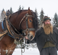 fileadmin/roha/images_galerie/Landwirtschaft/Forst-Holzknecht/HOLZKNE-HAM-PFERD-0015-1143-01-D-roha-Holzknecht-Pferd-Winter-Siegsdorf-Hammer-Winterzug.png