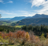 fileadmin/roha/images_galerie/orte_landschaft/Anger/Anger/Anger-Landschaft/LANDS-ANG-TEISB-0003-D-roha-Landschaft-Anger-Teisenberg-Wald-Herbst-Hochstaufen-Zwiesel.png