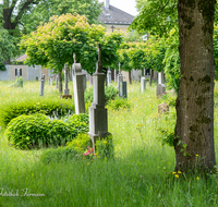 fileadmin/roha/images_galerie/orte_landschaft/Laufen/Klosterfriedhof/LAUF-KAPUZ-KI-0015-D-roha-Laufen-Kapuzinerkloster-Friedhof-Blumenwiese.png