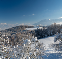 fileadmin/roha/images_galerie/orte_landschaft/Piding/PID-NEUBICH-WI-0003-D-roha-Piding-Neubichler-Alm-Johannishoegl-Winter-Schnee.png