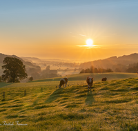 fileadmin/roha/images_galerie/stimmung-Sonne/Sonnenaufgang/SO-AU-SURT-0024-0746-D-roha-Sonnenaufgang-Surtal-Teisendorf-Oberteisendorf-Kuh.png