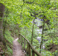 fileadmin/roha/images_galerie/wege/WEGE-TEIS-VERS-WAS-FA-0002-D-roha-Weg-Teisendorf-Verschoenerungsweg-Wald-Wasserfall.png