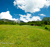 fileadmin/roha/images_galerie/orte_landschaft/Berchtesgaden/Jenner-Schoenau/BGD-LAN-0004-D-roha-Berchtesgaden-Vorderbrand-Schoenau-Blumenwiese-Fruehling.png