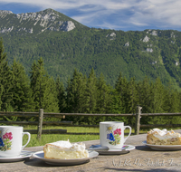 fileadmin/roha/images_galerie/Hintergrund-Download/1280x1024/INZ-BAECK-ALM-GAS-0001-D-roha-Inzell-Baeckeralm-Zwiesel-Zaun-Kaffee-Kuchen-Tasse.jpg