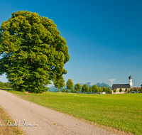 fileadmin/roha/images_galerie/orte_landschaft/Irschenberg/IRSCH-WILP-0005-D-roha-Irschenberg-Wilparting-Wallfahrtskirche-Mangfallgebirge.png