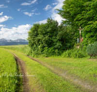 fileadmin/roha/images_galerie/kirche_religion/Weildorf/KKKM-WEIL-NEUL-0001-45-D-P-roha-Wegkreuz-Weildorf-Teisendorf-Neulend.png