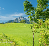 fileadmin/roha/images_galerie/orte_landschaft/Anger/Anger/Anger-Landschaft/LANDS-ANG-HINTERN-0002-D-roha-Landschaft-Anger-Hochstaufen-Kuh-Weide-Hinternau.png