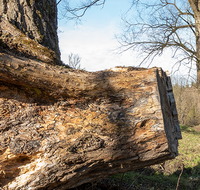 fileadmin/roha/images_galerie/Hintergrund-Download/1920x1080_-_Handy/LANDS-SAAL-SILL-DUR-0001-D-roha-Landschaft-Saaldorf-Sillersdorf-Sur.png