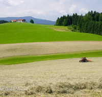 fileadmin/roha/images_galerie/orte_landschaft/Teisendorf/Neukirchen/LANDW-MASCH-0033-D-roha-Landwirtschaft-Neukirchen-Au-Traktor-Heu.png