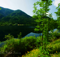 fileadmin/roha/images_galerie/orte_landschaft/Ruhpolding/RUH-LOED-0023-D-roha-Ruhpolding-Loedensee-Hochwasser.png