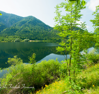 fileadmin/roha/images_galerie/orte_landschaft/Ruhpolding/RUH-LOED-0023-D-roha-Ruhpolding-Loedensee-Hochwasser.png