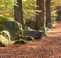 fileadmin/roha/images_galerie/orte_landschaft/Teisendorf/Geo-Park-Lehrpfad/TEI-GEOL-GAR-0018-D-roha-Teisendorf-Geologischer-Garten-Findlinge-Steine-Laub-Buche-Eiche-Herbst.png