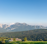 fileadmin/roha/images_galerie/orte_landschaft/Stoisser-Alm/TEI-STO-0029-14-D-roha-Teisendorf-Anger-Stoisseralm-Untersberg-Blumenwiese-Almwiese.png