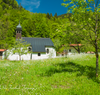 fileadmin/roha/images_galerie/kirche_religion/Rupolding/RUH-URSCHL-0011-roha-Ruhpolding-Urschlau-Kirche-Blumenwiese-Streuobstwiese.png