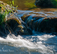 fileadmin/roha/images_galerie/wasser/WAS-BACH-SUR-0006-D-roha-Wasser-Bach-Fischtreppe-Sur-Teisendorf.png