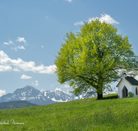 fileadmin/roha/images_galerie/kirche_religion/Saaldorf/KKKM-SAALD-SILL-0015-D-roha-Kapelle-Saaldorf-Sillersdorf-Hochstaufen-Zwiesel.png