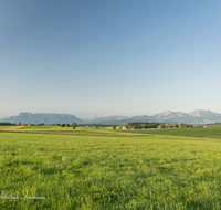 fileadmin/roha/images_galerie/orte_landschaft/Saaldorf/LANDS-ABTS-0005-D-roha-Landschaft-Abtsdorf-Saaldorf-Untersberg-Hochstaufen-Zwiesel.png