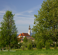 fileadmin/roha/images_galerie/orte_landschaft/Saaldorf/SAAL-0018-D-roha-Saaldorf-Kirche-Zwiebelturm-Landwirtschaft.png