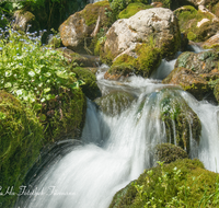 fileadmin/roha/images_galerie/wasser/WAS-WILDB-KIRCH-TAL-0008-D-roha-Wasser-Wildbach-Kirchental-St-Martin-b-Lofer.png