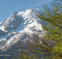 fileadmin/roha/images_galerie/orte_landschaft/Berchtesgaden/Watzmann/BGD-WATZ-0039-D-roha-Berchtesgaden-Ramsau-Gertsreit-Watzmann-Gipfel-Fruehling-Schnee-Buchen-Wald.png