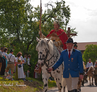 fileadmin/roha/images_galerie/brauchtum/Leonhardiritt/Holzhausen_01/BR-PFRI-HOLZ-0142-1-D-roha-Brauchtum-Pferdeumritt-Holzhausen-Teisendorf-Leonhardiritt-Pferd-Reiter-hl-Georg-Schimmel.png