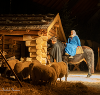 fileadmin/roha/images_galerie/orte_landschaft/Bad_Reichenhall_-_Stallweihnacht/BR-WEIH-STALL-2022-2030-05-D-roha-Brauchtum-Weihnachten-Krippe-Stall-Weihnacht-Bad-Reichenhall.png