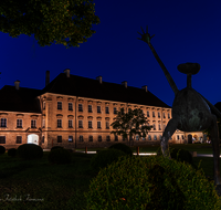 fileadmin/roha/images_galerie/orte_landschaft/Burghausen/BURGH-RAITH-NA-0003-D-roha-Burghausen-Raitenhaslach-Kloster-Kirche-Nacht.png