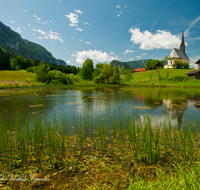 fileadmin/roha/images_galerie/orte_landschaft/Inzell/INZ-EINS-0012-D-roha-Inzell-Einsiedl-Weiher-Kirche.png