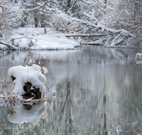 fileadmin/roha/images_galerie/orte_landschaft/Saaldorf/LANDS-SAAL-SUR-MITTG-WI-0003-D-roha-Landschaft-Saaldorf-Surheim-Mittergraben.png