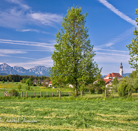 fileadmin/roha/images_galerie/orte_landschaft/Saaldorf/SAAL-0019-D-roha-Saaldorf-Kirche-Zwiebelturm-Landwirtschaft.png