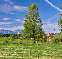 fileadmin/roha/images_galerie/orte_landschaft/Saaldorf/SAAL-0019-D-roha-Saaldorf-Kirche-Zwiebelturm-Landwirtschaft.png