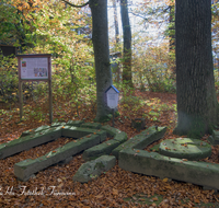 fileadmin/roha/images_galerie/orte_landschaft/Teisendorf/Geo-Park-Lehrpfad/TEI-GEOL-GAR-0007-D-roha-Teisendorf-Geologischer-Garten-Findlinge-Steine-Sandstein.png