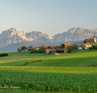 fileadmin/roha/images_galerie/orte_landschaft/Teisendorf/TEI-WI-0023-D-roha-Teisendorf-Wimmern-Hochstaufen-Zwiesel-Landwirtschaft.png