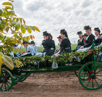 fileadmin/roha/images_galerie/brauchtum/Leonhardiritt/Holzhausen_01/BR-PFRI-HOLZ-2015-0067-1046-04-D-roha-Brauchtum-Pferdeumritt-Holzhausen-Teisendorf-Leonhardiritt.png