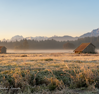 fileadmin/roha/images_galerie/orte_landschaft/Haarmoos/HAARM-0004-0-1-D-roha-Abtsdorf-Haarmoos-Sonnenaufgang-Watzmann-Stadel-Hochstaufen.png