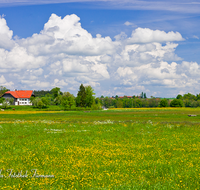 fileadmin/roha/images_galerie/orte_landschaft/Haarmoos/HAARM-0044-D-roha-Abtsdorf-Laufen-Haarmoos-Fischer-Saaldorf-Fruehling.png