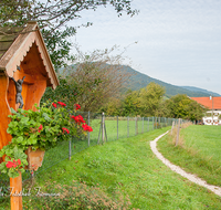 fileadmin/roha/images_galerie/kirche_religion/Anger/KKKM-ANG-AUF-0004-D-roha-Wegkreuz-Anger-Aufham-Unterberg-Weg.png