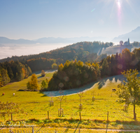 fileadmin/roha/images_galerie/orte_landschaft/Piding/PID-JOHAN-0007-D-roha-Piding-Johannishoegl-Sonnenaufgang-Herbst-Kuh-Weide-Nebel.png