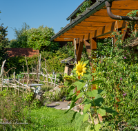 fileadmin/roha/images_galerie/Baum-natur-garten/Blumengarten-Blumen/GAR-WILD-0006-D-roha-Garten-Wild-Beet-Sonnenblume-Haus-Pergola.png