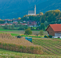 fileadmin/roha/images_galerie/Landwirtschaft/LANDW-MASCH-MAIS-AN-0014-D-roha-Landwirtschaft-Maschine-Mais-Ernte-Anger.png