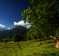 fileadmin/roha/images_galerie/orte_landschaft/Berchtesgaden/Ramsau/BGD-RA-LAN-0036-07-D-roha-Berchtesgaden-Ramsau-Landschaft-Blaueis-Hochkalter-Almwiese.png