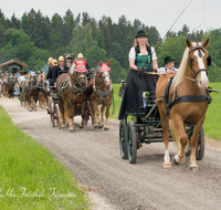 fileadmin/roha/images_galerie/brauchtum/Leonhardiritt/Holzhausen_01/Kaltblutfest/BR-PFRI-HOLZ-KALTBL-2015-1129-01-D-roha-Brauchtum-Kaltblut-Pferd-Kutsche-Holzhausen-Teisendorf-Kutsche-Feuerwehr.png