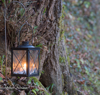 fileadmin/roha/images_galerie/brauchtum/Weihnachten-Laternenzauber-Anger/BR-WEIH-HOE-LA-2016-11-26-1559-01-D-roha-Brauchtum-Weihnachten-Hoeglwoerth-See-Anger-Laternenzauber.png