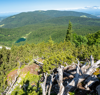 fileadmin/roha/images_galerie/orte_landschaft/Inzell/INZ-HEN-0006-D-roha-nzell-Hendelberg-Frillensee-Teisenberg.png