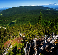 fileadmin/roha/images_galerie/orte_landschaft/Inzell/INZ-HEN-0006-D-roha-nzell-Hendelberg-Frillensee-Teisenberg.png