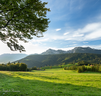 fileadmin/roha/images_galerie/orte_landschaft/Anger/Anger/Anger-Landschaft/LANDS-ANG-NEUH-0024-D-roha-Landschaft-Anger-Neuhaus-Hochstaufen-Bank-Kuh-Herde.png